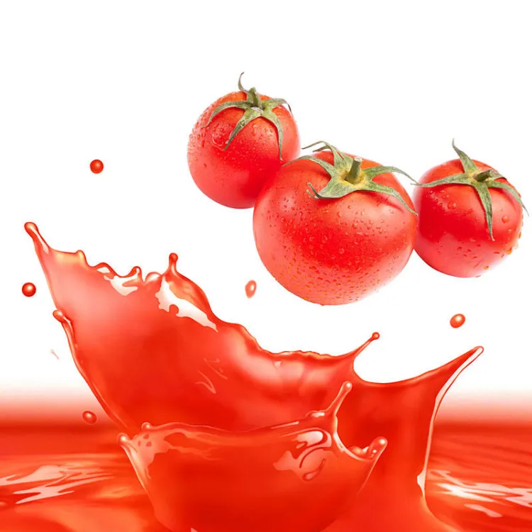 Tomato Concentrate Production Line Tomato Paste Production Machine Tomato Sauce Processing Equipment — image 6