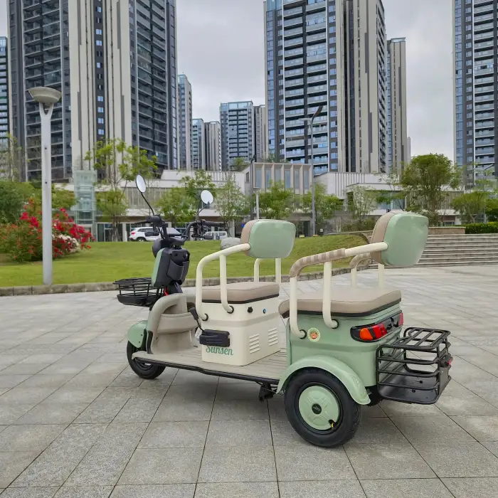 3 Wheel Electric Tricycle 800w 60v32ah