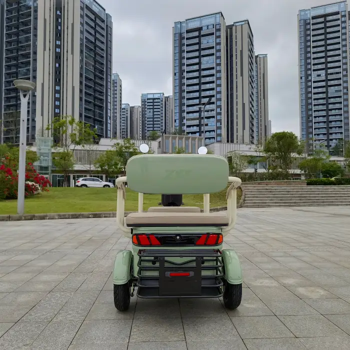 3 Wheel Electric Tricycle 800w 60v32ah