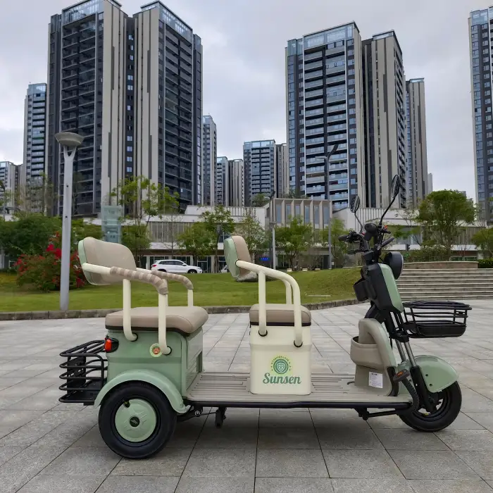 3 Wheel Electric Tricycle 800w 60v32ah
