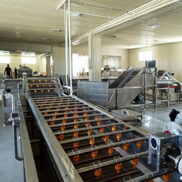 Fruits and Vegetable Bubble Washing Machine Model: CQX3000