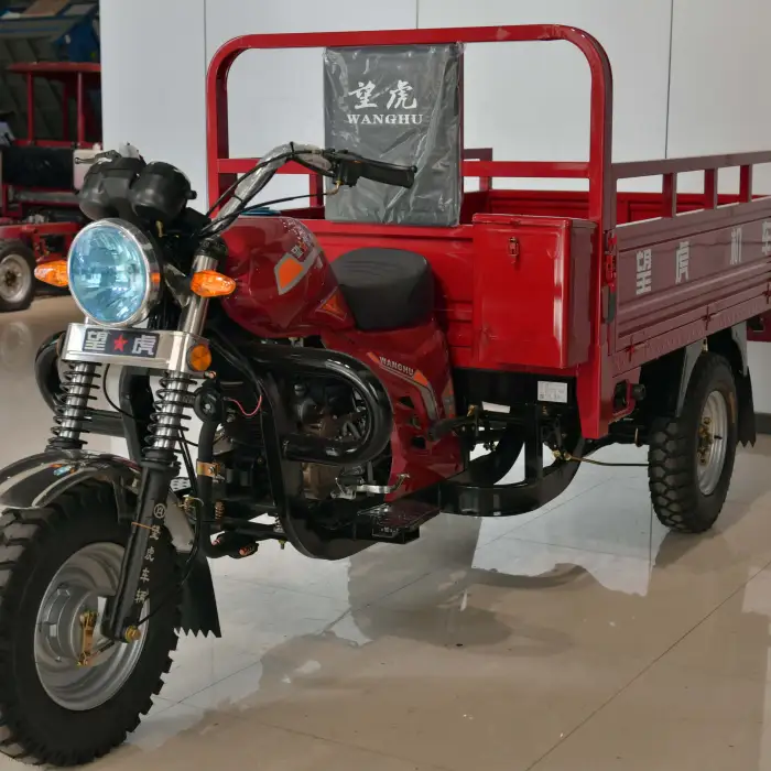 WH150AO1-ZL Adult Cargo Tricycle 200cc with spare tire