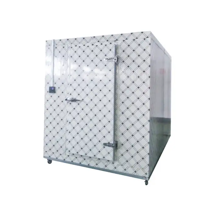 Ruixue Low Temperature High Efficiency Cold Storage Coldroom(L-3mxW-3mxH-2.5m)