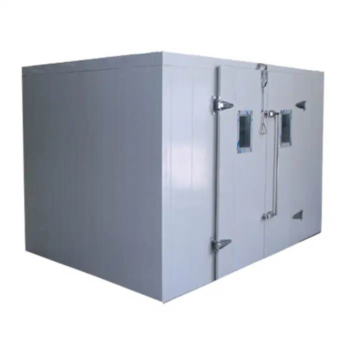 Ruixue Low Temperature High Efficiency Cold Storage Coldroom(L-3mxW-3mxH-2.5m)