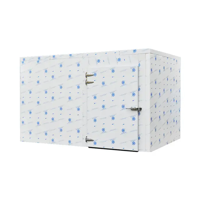 Ruixue Low Temperature High Efficiency Cold Storage Coldroom(L-3mxW-3mxH-2.5m)