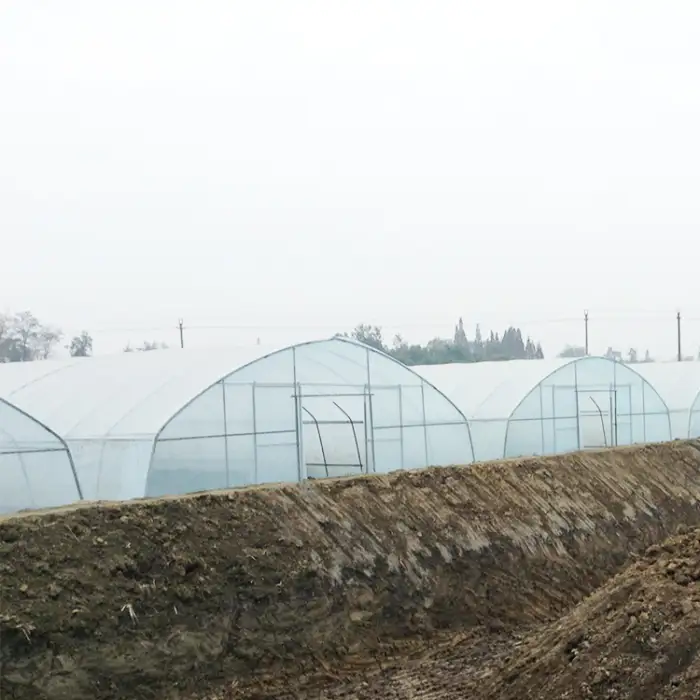 Galvanized Steel Frame PE Film Greenhouse Tunnel