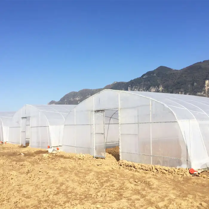Galvanized Steel Frame PE Film Greenhouse Tunnel