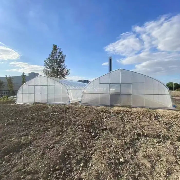 Galvanized Steel Frame PE Film Greenhouse Tunnel