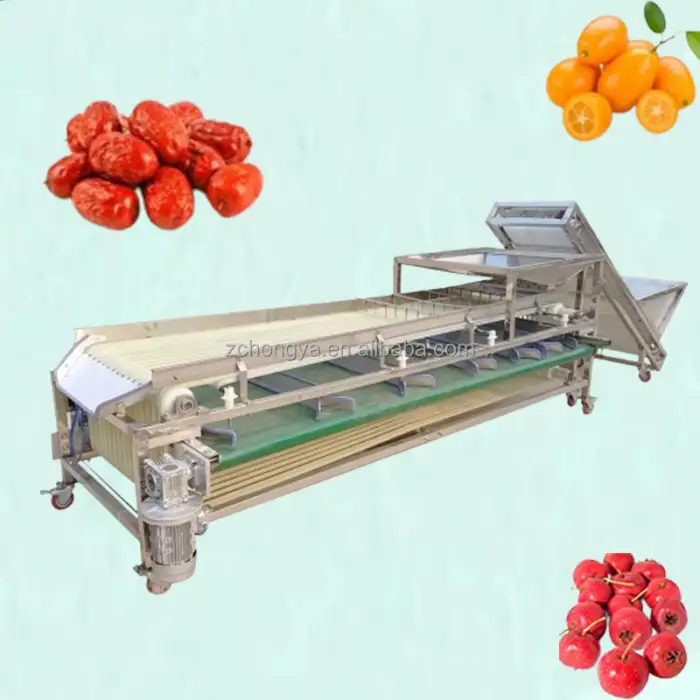 Automatic Identification Fruit and Vegetable Grader
