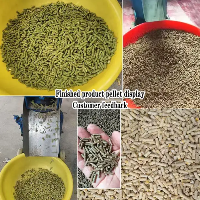 9KL-160 Feed Pellet Machine