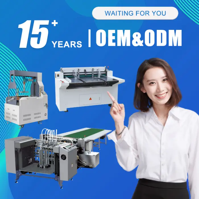 Automatic Disposable Lunch Box Making Machine