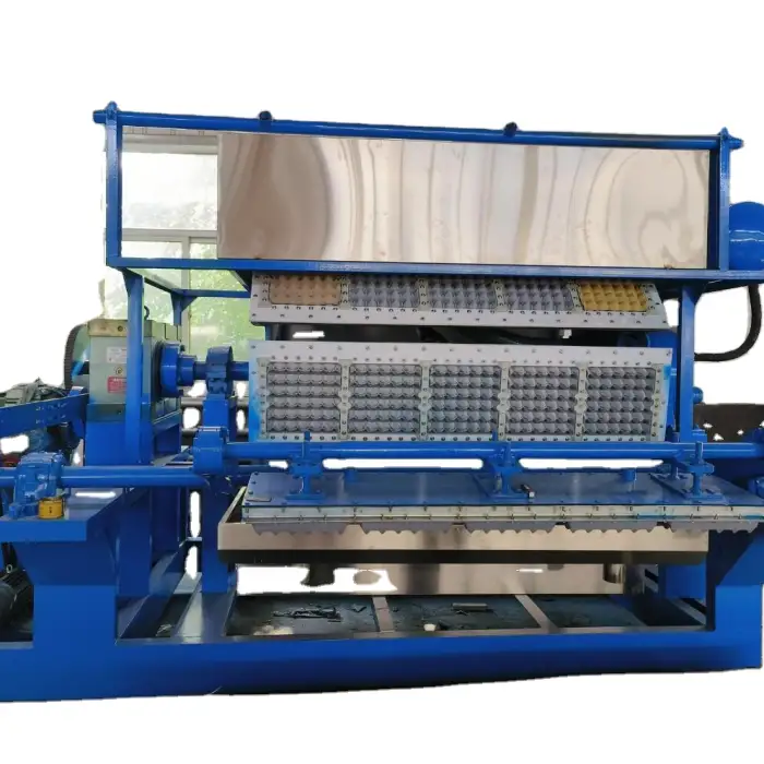 Automatic Egg Box Machine Paper Recycle Line Egg Tray Making Machine 1000kg/h