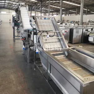 Fruits and Vegetable Bubble Washing Machine Model: CQX3000