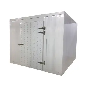 Ruixue Low Temperature High Efficiency Cold Storage Coldroom(L-3mxW-3mxH-2.5m)