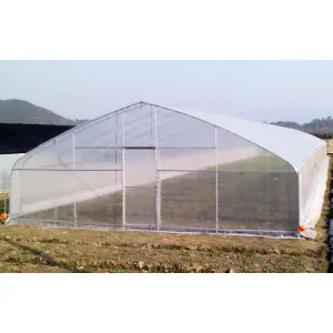 Galvanized Steel Frame PE Film Greenhouse Tunnel