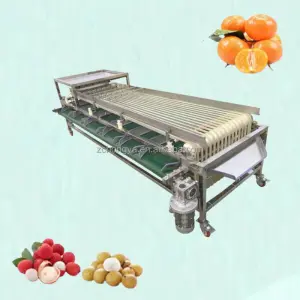 Automatic Identification Fruit and Vegetable Grader