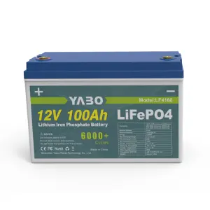 12.8V 100Ah LifePO4 Lithium Battery Pack