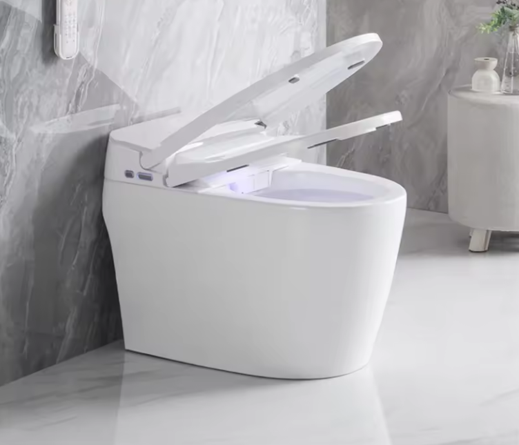 Smart One Piece Toilet