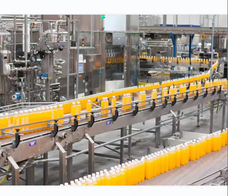 Fresh Fruit Processing Production Line