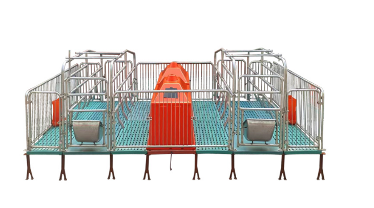 Two Pig Farming Nursery Pen Cage