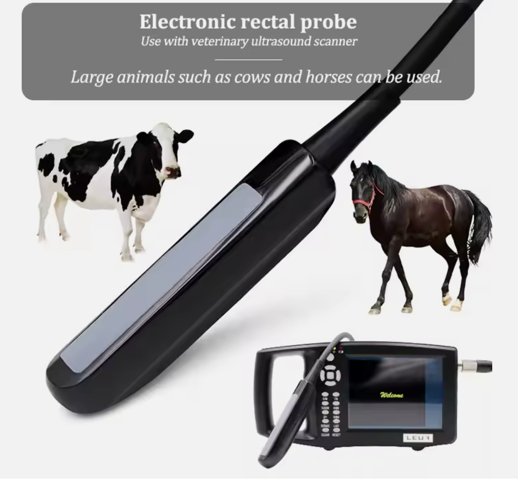 Veterinary Instrument Portable Handheld Animal Pregnancy Test