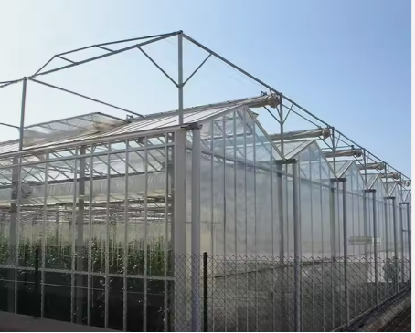 Multi-Span Plastic-film Greenhouse