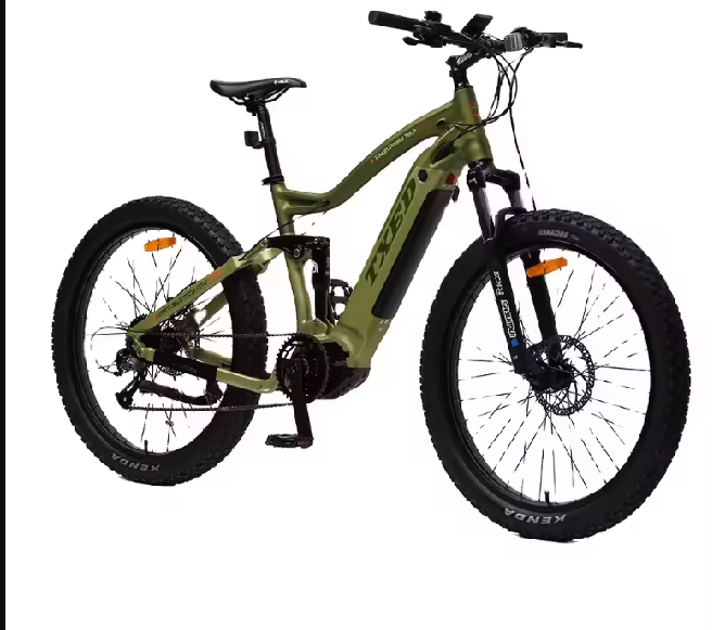 TXED 48v full suspension fat tire electric bicycle off road ebike electric snow bike