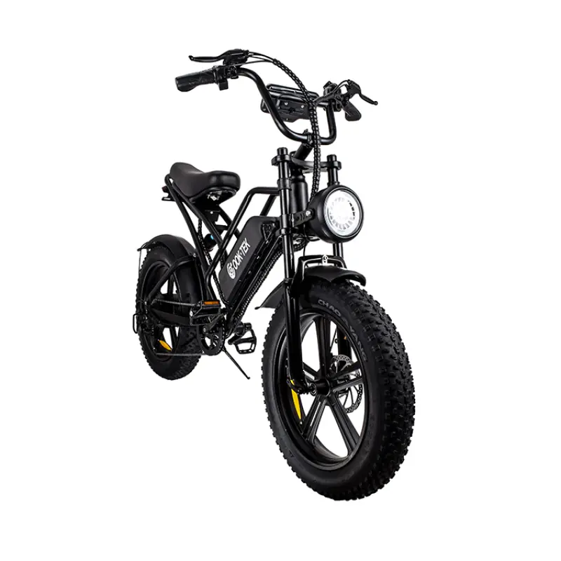 Cruiser Electric Bike Electric Bicycle Motor Integrated Battery 48v Battery Ebike 750w Powerful Beach Lithium Battery 7 Speed