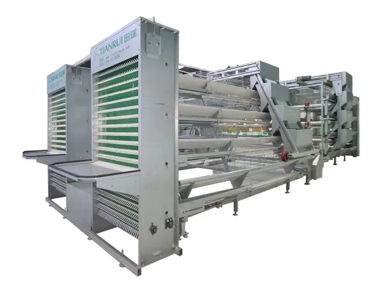 Automatic Poultry Farming Modern Shed System A Type Egg Chicken Layer Battery Cage for 5000 Hens