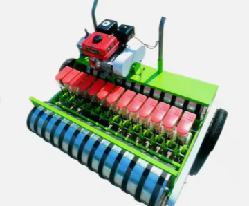 6-10 row self-propelled cabbage seedling transplanter vegetable planting machine for rice planting