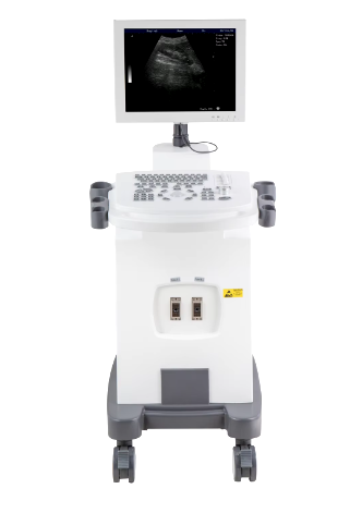 Medical Hospital Diagnosis System Portable Ultrasound Scanner 3D 4D 5D Color Doppler Trolley Ultrasound Machine