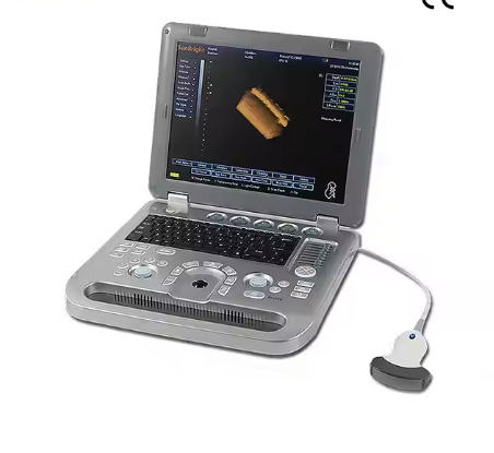 Portable 3D 4D Echo Ultrasound Machine Cost Effective Human Ultrasound