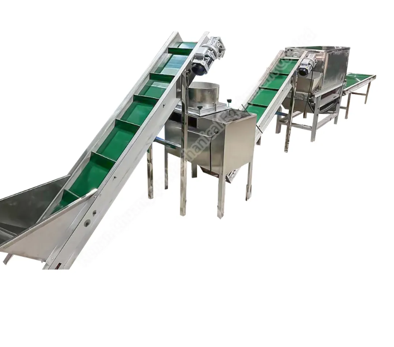 1 Ton Per Hour Industrial Garlic Peeling Machine Production Line