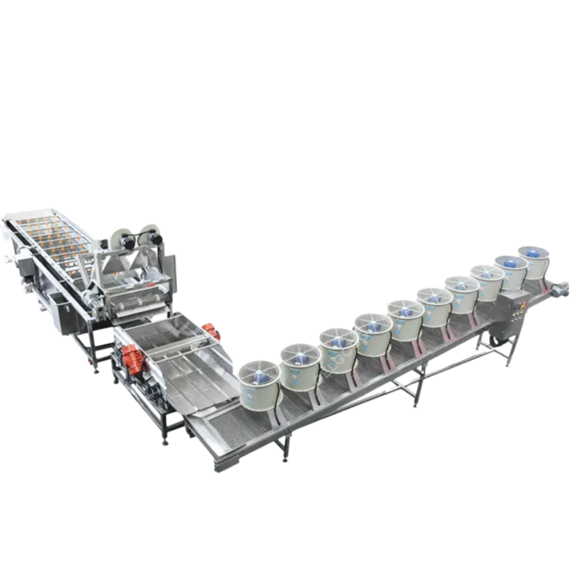 Automatic Date Palm Fruit Washing And Drying Machine Dates Processing Machine