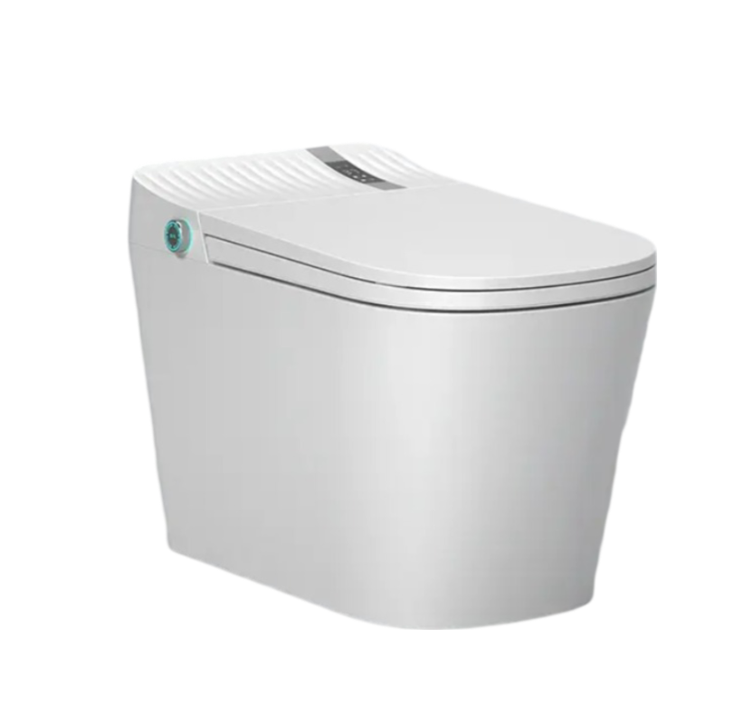 Innovation Floor Mounted Connected White Smart Toilet