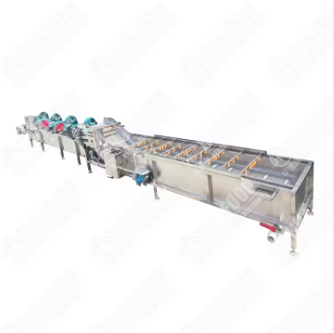 High Productivity Vegetable Washer Fruit Washing Machine Fruit Vegetable Drying Machines Fruit And Vegetable Washing Machine