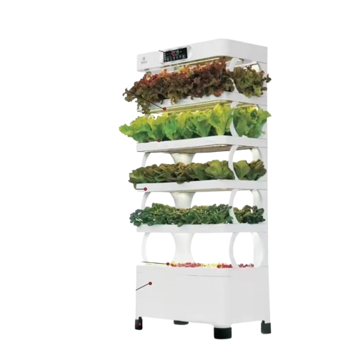 Lyine hydroponic growing system