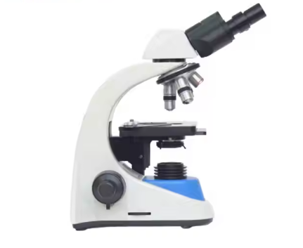 Infitek 1000X Binocular Optical Biological Microscope Siedentopf with CE