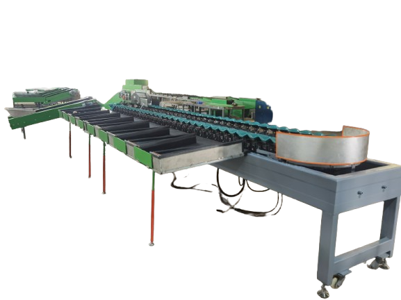 Potato washing drying sorting apple grading machine