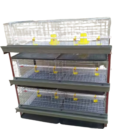 Automatic Broiler Chicken Cage With Poultry Farming Equipment For Animal Poultry Husbandry Livestock