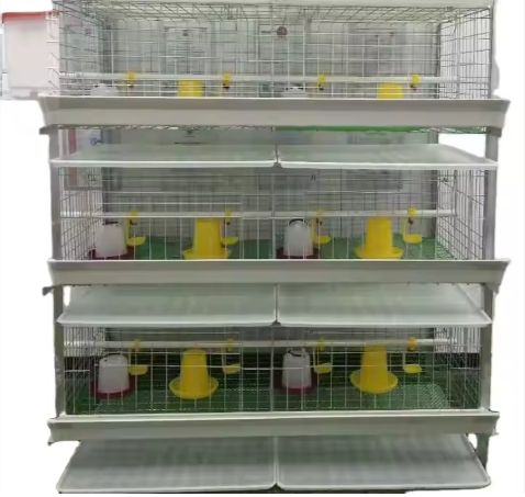 Broiler Chicken Cage For Poultry Farms