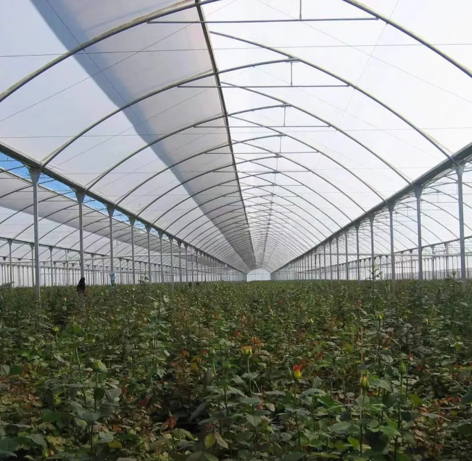 Agriculture Greenhouse Frame Multispan