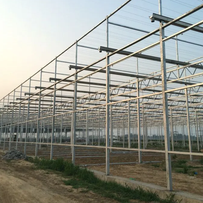 Tempered Multi-span Glass Greenhouse Pellet