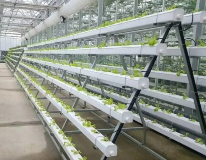 Commercial NFT channel Hydroponic growing system