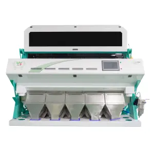 Raisin Dried grapes colour sorting machine/color sorter for grapes