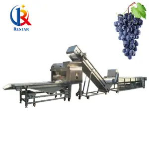 High Efficient Grape Crusher/Grape Destemmer/Grape Thresher Machine Used in Grape Juice And Wine Production