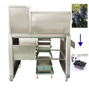 Fully Automatic Grape Separator And Crusher With Stem Separator Fresh Grape Stem Remover