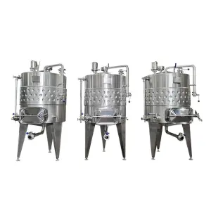 All Size Stainless Steel Fruit WineTank Beer and Wine Making Equipment Wine Fermentation Tank