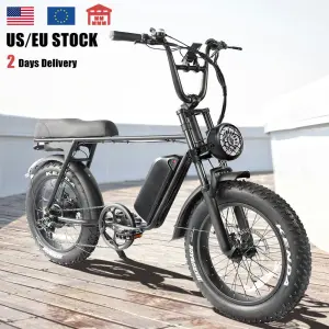 Bike Ready Stock Adults Electrically Mountain Ebike