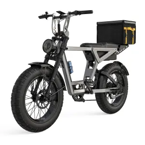 1000W Motor Full Suspension Electric Bike 20 Inch Fat Tires All Terrain Riding Fat Tire Electric Bike